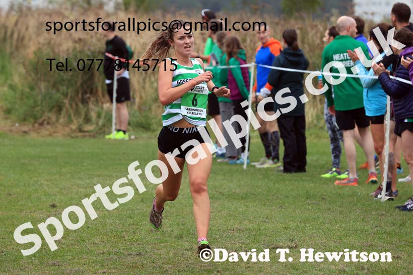 Senior Women and Veterans Relay, 2024 Sunderland XC Relays.  Photo: David T. Hewitson/Sports for All Pics